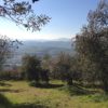 Villa Rieti - Afbeelding 10