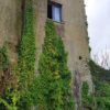 Boerderij Rieti - Afbeelding 12