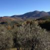 Huis Rieti - Afbeelding 11