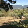 20e eeuwse boerderij in Rieti - Afbeelding 9